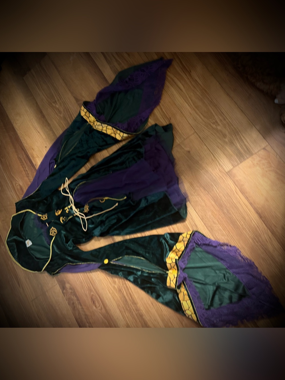 Disney Green and Purple Witch Costume Dress with Gold Trim
